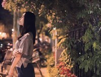 关于我来我来停停的句子