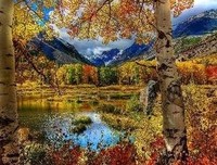 《感同作我受》的句子