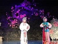 《锁麟囊(京剧)》的影评大全