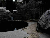“亚洲第一巨炮”原来是只“纸老虎”