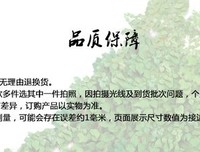 关于精雕细琢的格言