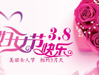 小说作家名句的优美句子