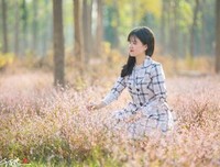 我也曾经憧憬过 种就也来心不结果优美的句子