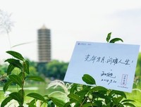 《光辉岁月》经典影评集