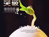 清欢优美的句子
