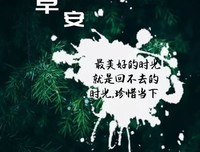 人生的优美句子
