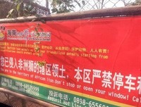 《我要心有所属地浪迹天涯》读后感1000字