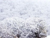 《风景与认同》读后感1000字
