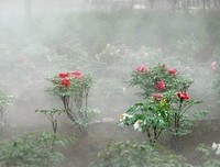 千姿百态格言警句