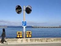 《濑户内海》经典观后感1000字