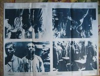 《裸露在狼群》经典观后感集