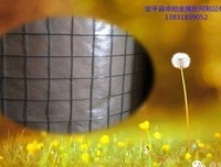 心情，留给懂你的人！