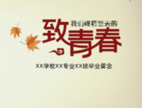 《青春。》的句子