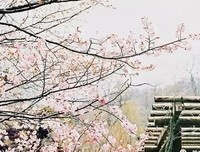 关于痛定思痛的名句摘抄