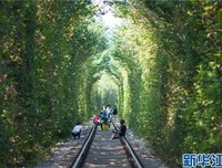 《南京爱情》影评100字