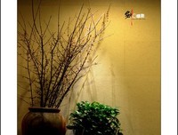 随心，随缘，随性！（写的真好）