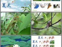 各种有趣句子