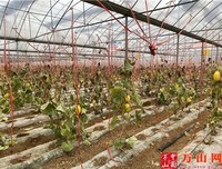 时间是检验真心的唯一标准
