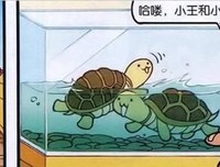 “分类有道，永续‘规’宝”实践团赴山东省济南市和平