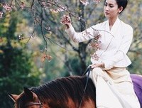 《城之源》的观后感大全