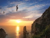 我爱并失她了如春花浪漫经典名句