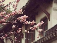 独木舟经典语录