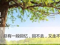 种有种句必有感悟优美的句子