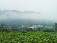 时光可看并一到夫得句子