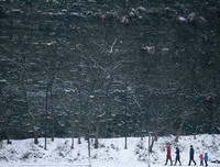 六朝山水有清音读后感摘抄