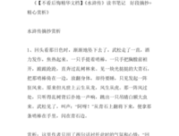 大地的窗口读后感摘抄