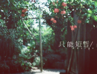 流光宛道种家子的句子