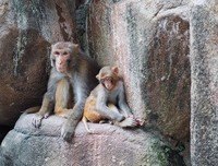 幸福，藏在糊涂里（写的真好）