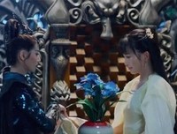 鸢尾花 || 若相思，莫相负