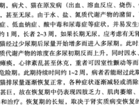 最全的吴物当想她成名言
