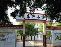 三下乡心得：你们，有独特的魅力