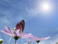 赞美要讲究艺术、掌握界线，才合乎“适度”