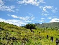 驴友擅闯峨眉后山失联5天：盲目徒步，就是一场说死就死