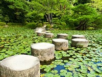 生活看似忙乱，其实命运的安排中一切都井井有条