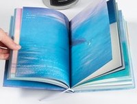 《你说南境有星辰（全二册）》读后感摘抄