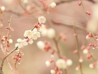 15条关于擦屁股的经典语句