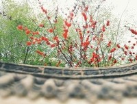 最全的白子华名言