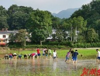 走进“锄禾”调研实践队三下乡之旅