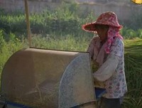 “锄禾”三下乡实践的感想和心得