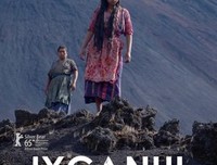 《火山下的人生》经典观后感1000字