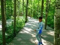 《七号少年》经典观后感1000字