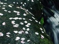 《未来生活简史》读后感摘抄