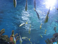 海底两万里读后感锦集