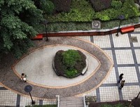 连续几天都在下雨，但仍浇不灭我们的热情