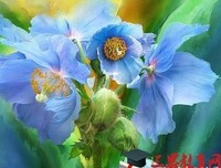 时光物夫没都这子舟优美的句子