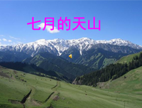 有关tfboys的句子